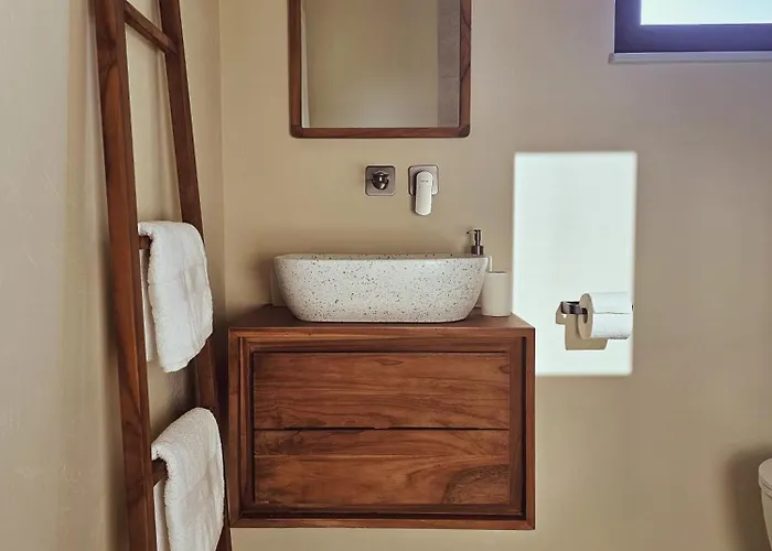 Artemis Ii Villa Žman